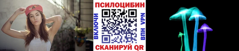 Купить  Судогда  Псилоцибиновые грибы ЛСД 